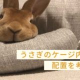 うさぎのケージ内の配置